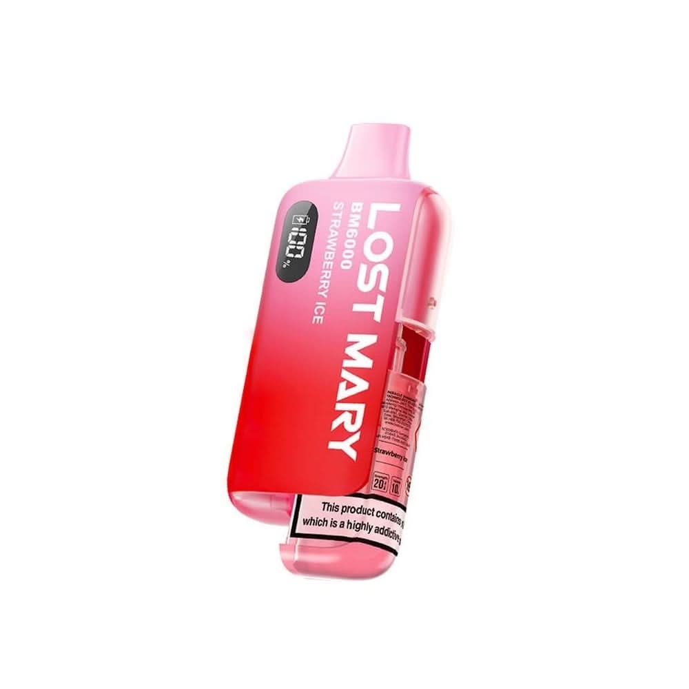BM6000 Pod Vape Kit by Lost Mary