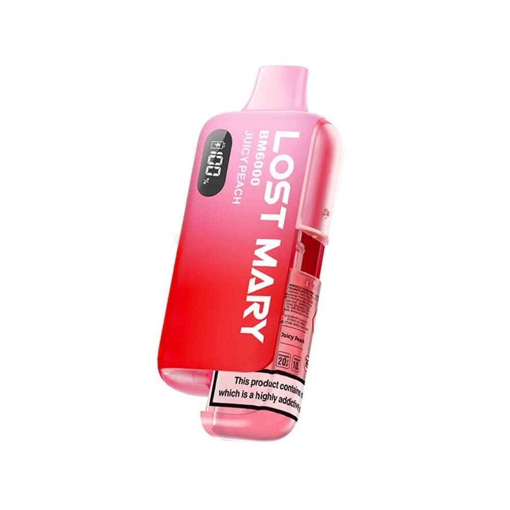 BM6000 Pod Vape Kit by Lost Mary