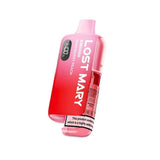 BM6000 Pod Vape Kit by Lost Mary