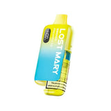 BM6000 Pod Vape Kit by Lost Mary