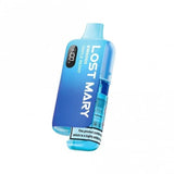 BM6000 Pod Vape Kit by Lost Mary