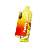 BM6000 Pod Vape Kit by Lost Mary