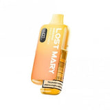 BM6000 Pod Vape Kit by Lost Mary